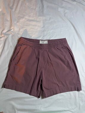 Abercrombie & Fitch Flat Front Shorts